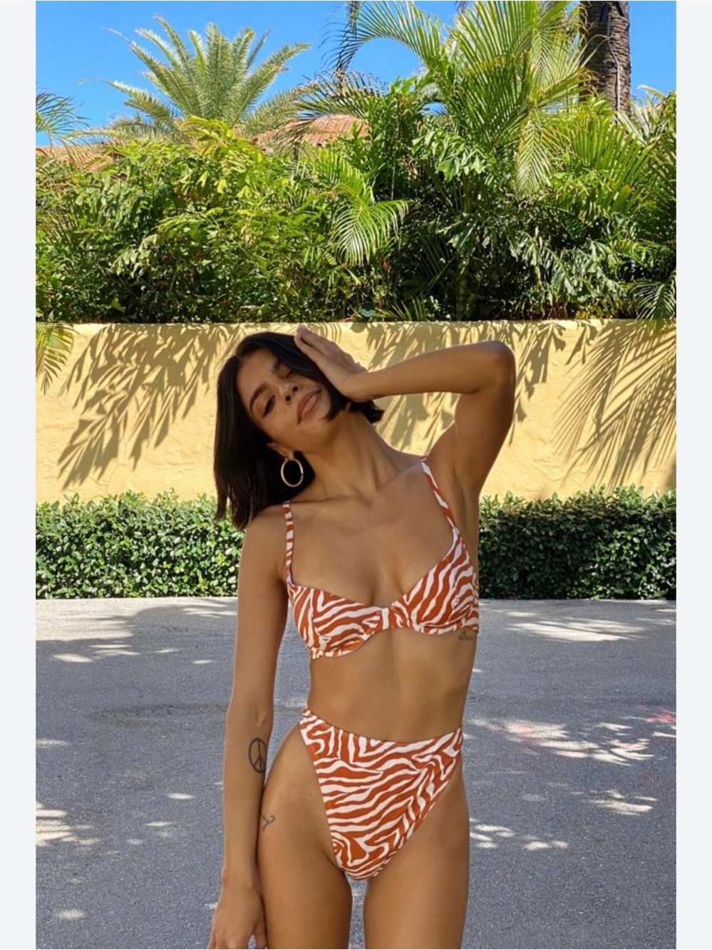 Urban Outfitters Rust Zebra-Print Underwire Bikini Set